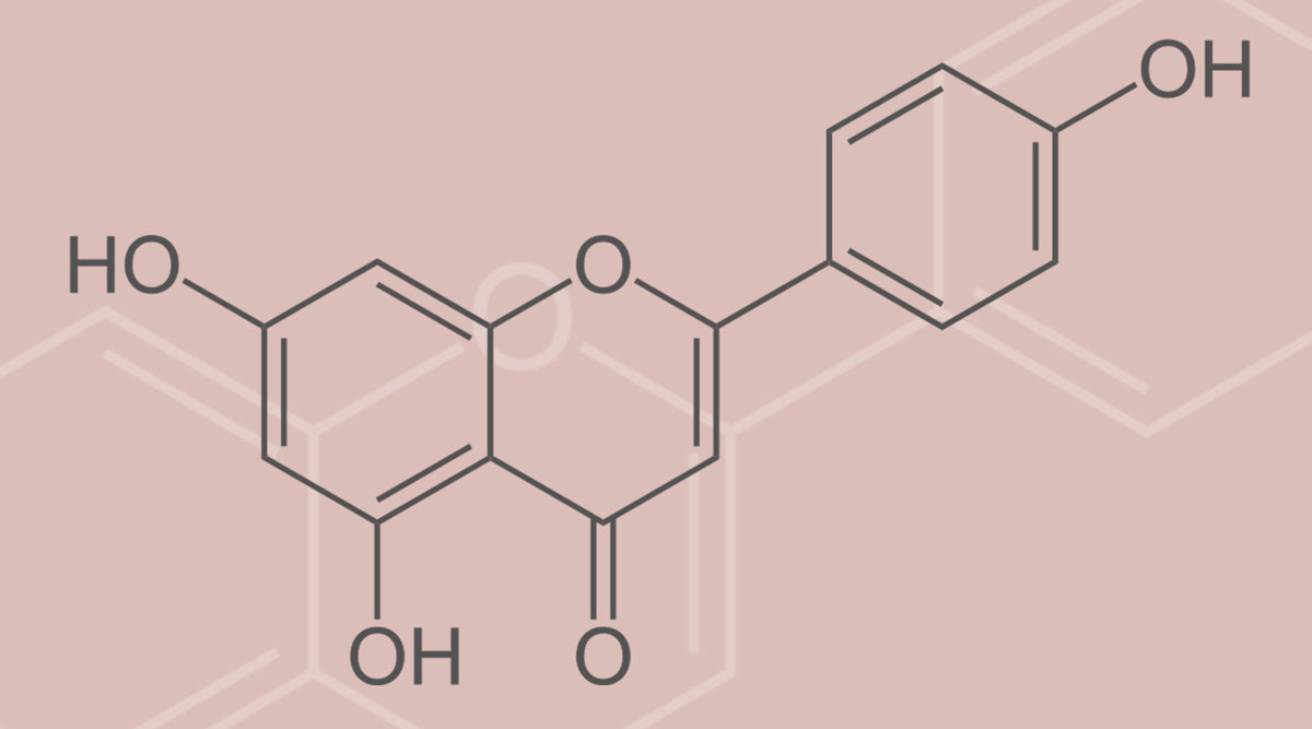 Apigenin faqs envivo biotics